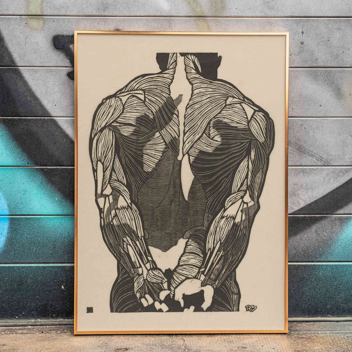Detailed anatomical illustration of human back muscles artwork titled Back Muscles by Reijer Stolk with intricate linework, framed and displayed in home decor