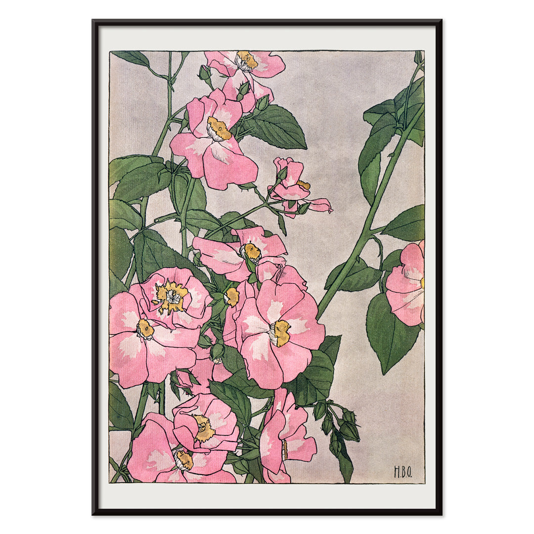 , with black aluminium frame on white background