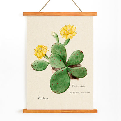 , with wooden magnetic frame on white background