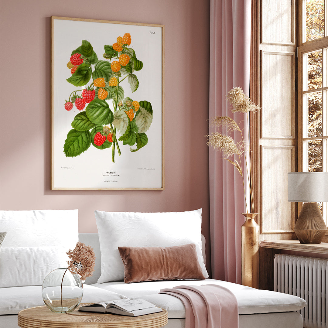 , framed and displayed in home decor