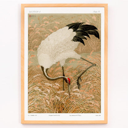 Sarus crane standing in a rice field artwork by Samarai and The Ornamental Arts Of Japan, framed and displayed in modern living room decor