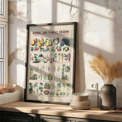 Botanical chart by Marcius Willson showing the economical use of plants with illustrations of fruits vegetables and plants poster, framed and displayed in home decor