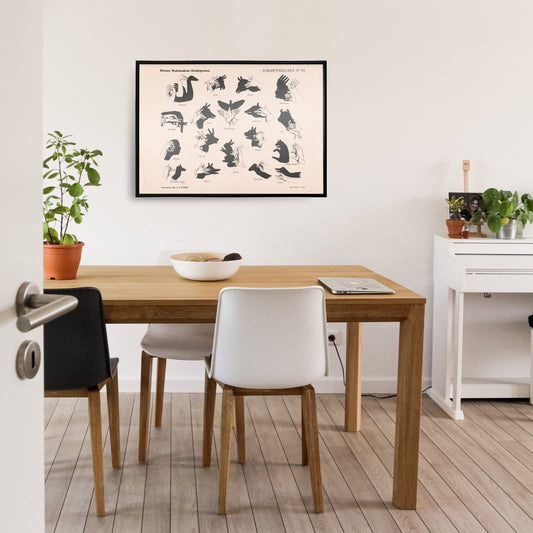 Vintage hand shadow puppet illustrations and animal shapes poster from Shadow Hands by George Lodewijk Funke artwork, framed and displayed in home decor
