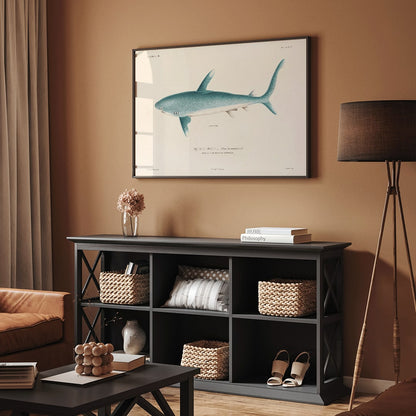 Shark illustration by Louis-Isidore Duperrey from Voyage autour du monde Pl 008 poster, framed and displayed in home decor