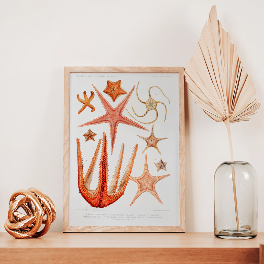 , framed and displayed in home decor