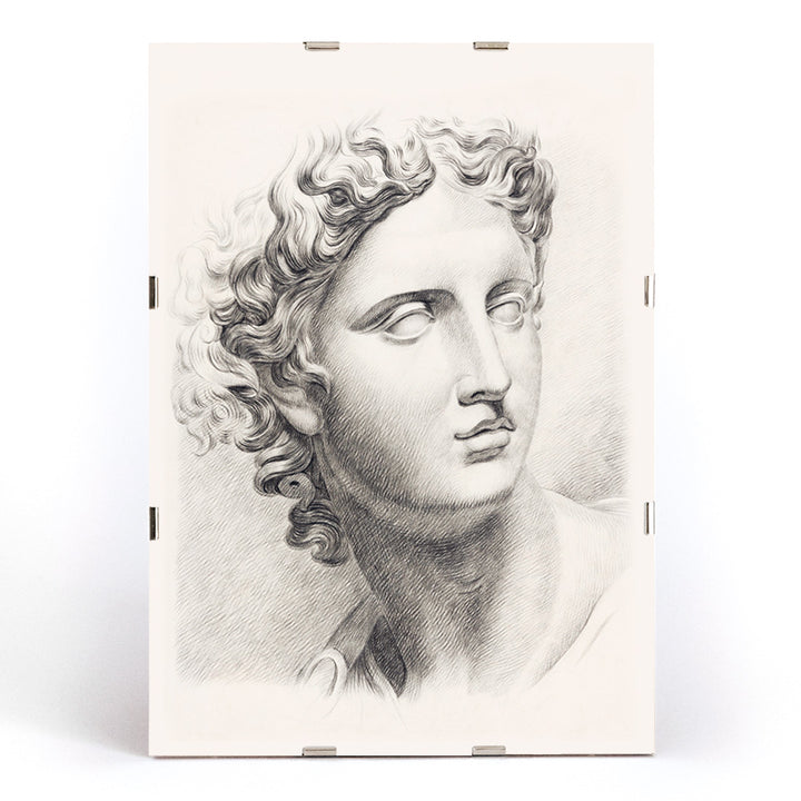 Academy study of a mans head after a plaster cast antique statue by Johannes Tavenraat detailed drawing and poster, framed and displayed in modern living room decor
