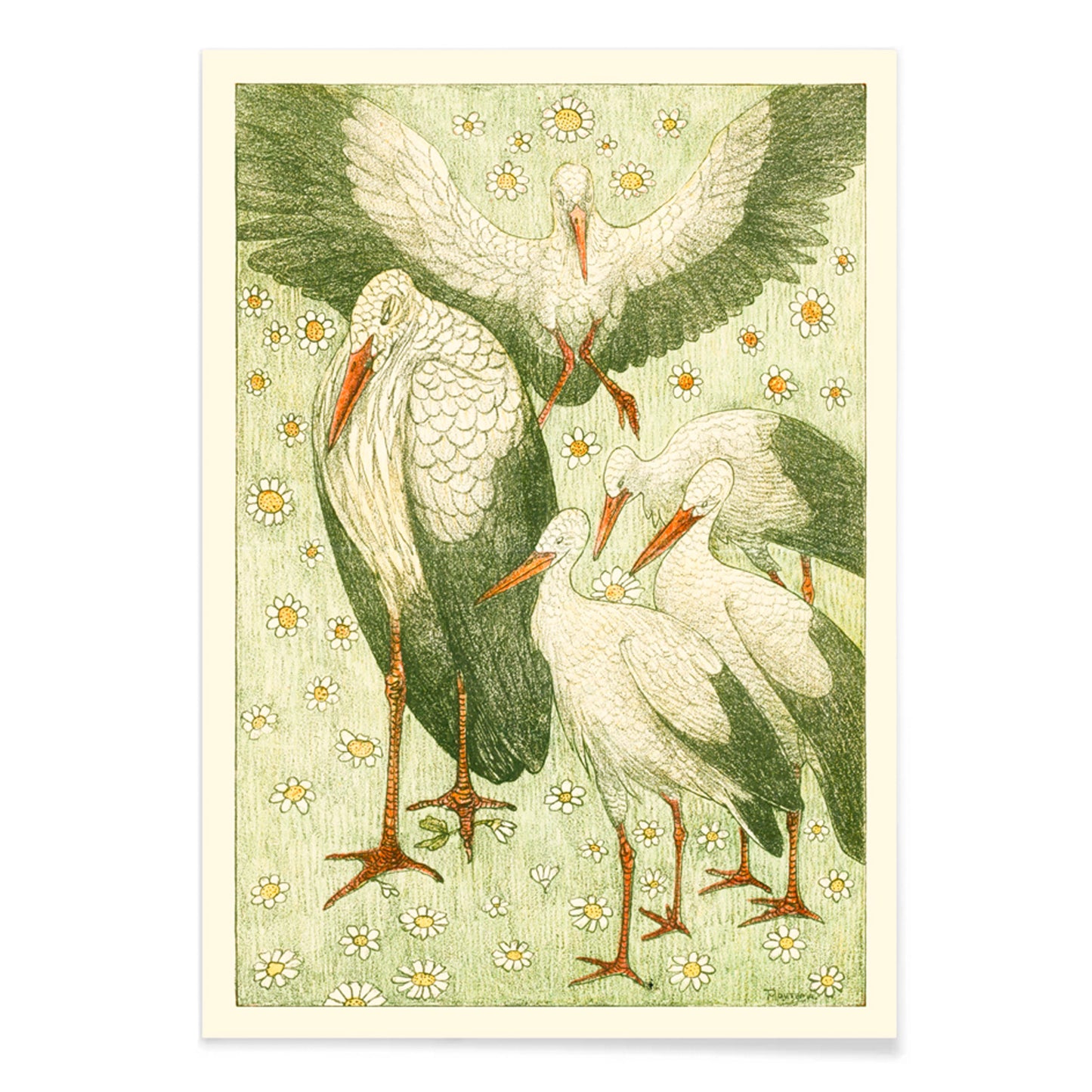 Five storks standing and flying among daisies and flowers in a meadow artwork by Theo van Hoytema poster, with black aluminium frame on white background