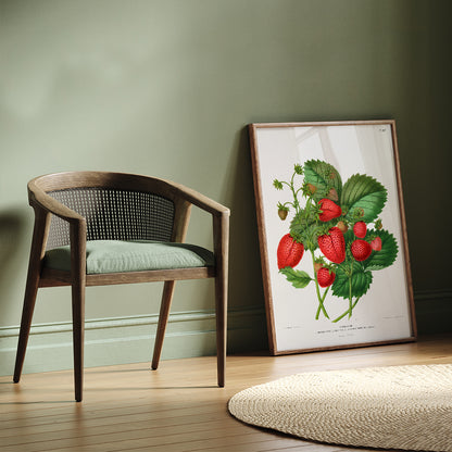 , framed and displayed in home decor