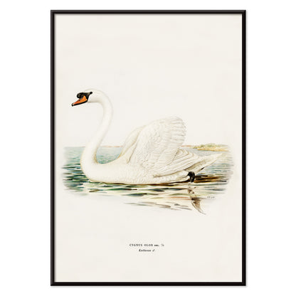 , with black aluminium frame on white background