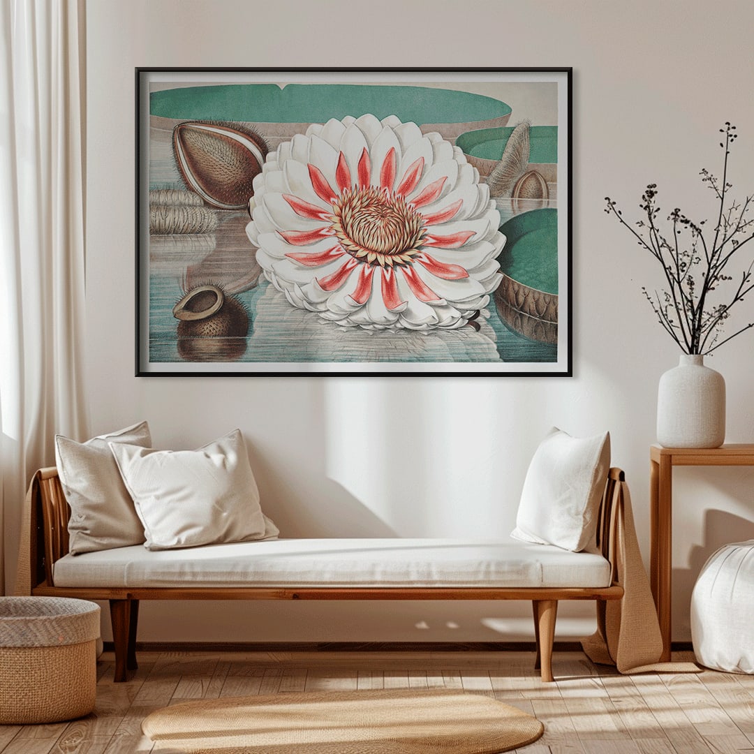 The Victoria Regia or the Great Water Lily of America by William Sharp vibrant painting and poster with large detailed flower on water, framed and displayed in modern living room decor