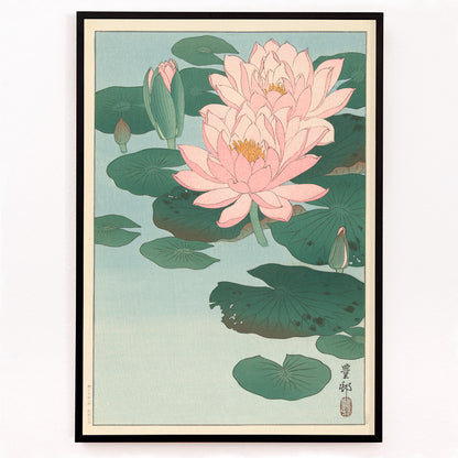 Closeup detail of Poster of pink water lilies and green lily pads on calm pond from Flowering Water Lily by Ohara Koson