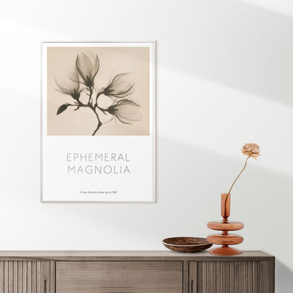 Magnolia branch with four delicate flowers x-ray style fine art print poster illustration, framed and displayed in home decor