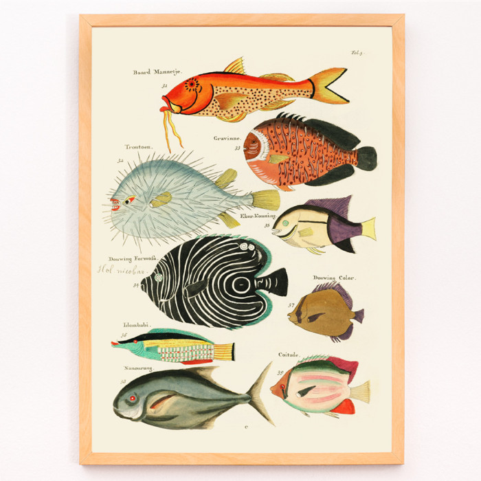Ilustraciones surrealistas de peces