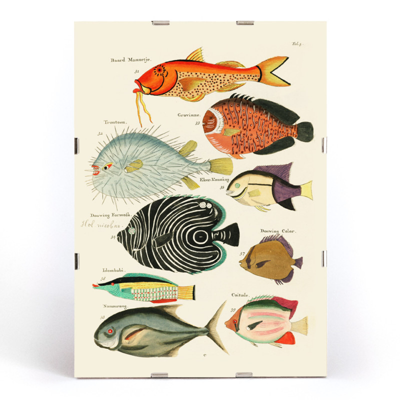 Ilustraciones surrealistas de peces