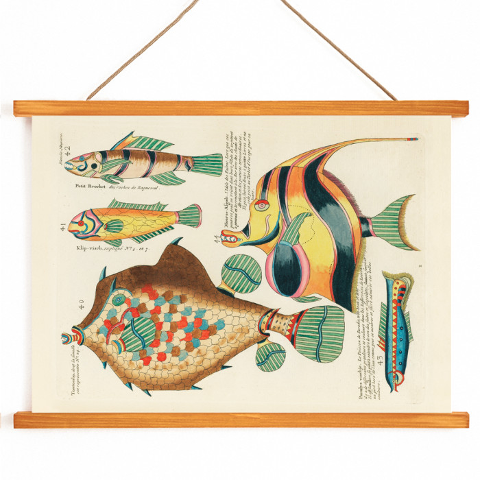 Ilustraciones coloridas y surrealistas de peces 9