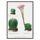 Cactus Pincushion arcoíris y lirio de Pascua