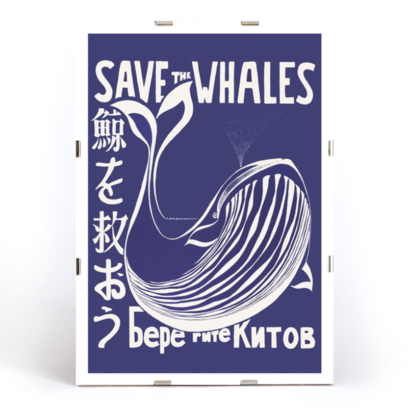 Salven a las ballenas