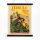 Ciclos Terrot Dijon 2